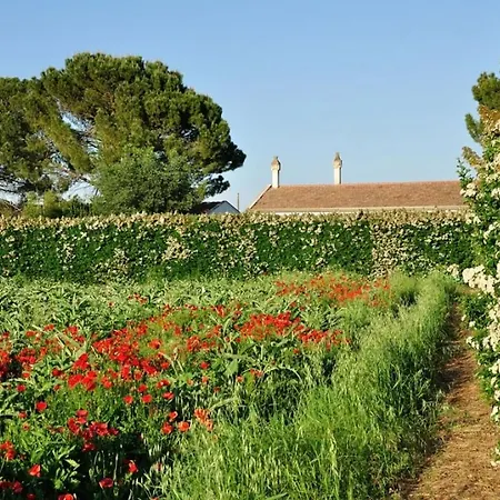 Sleeps 2 Pool Wifi T764329 * Montescaglioso