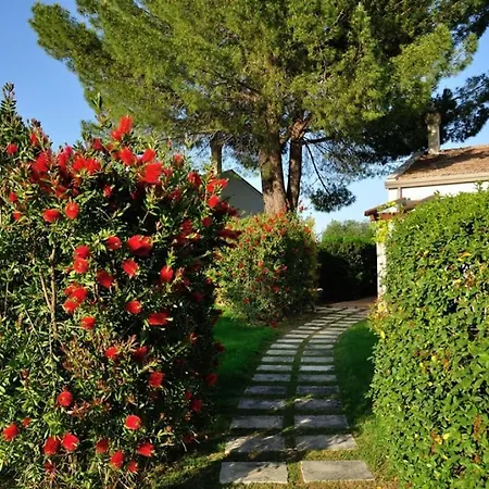 Sleeps 2 Pool Wifi T764329 *